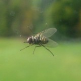 0909F 003 Kulmbach-Koblenz